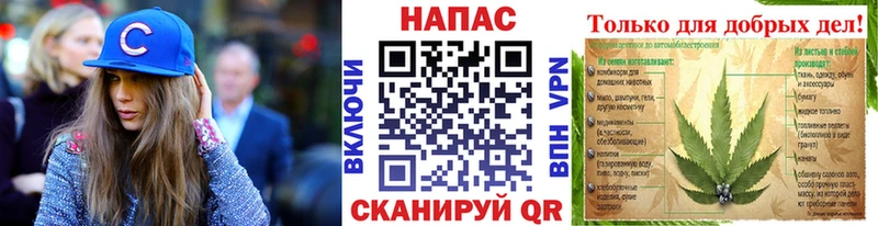 Шишки марихуана планчик  hydra   Змеиногорск  где продают наркотики 
